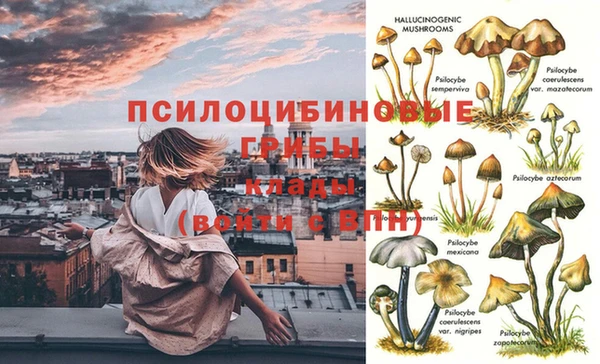 твердый Киреевск