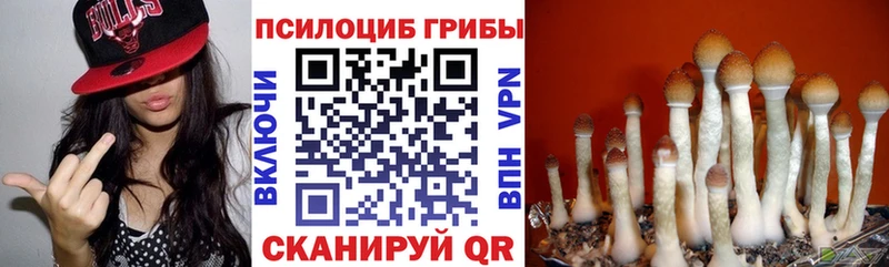 Галлюциногенные грибы мухоморы Купить где Жердевка